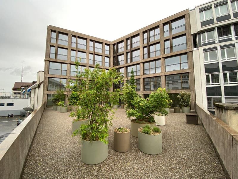 Terrasse zur Allgemeinbenutzung