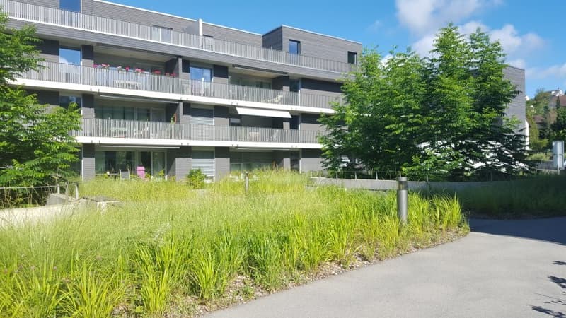 Aussenasicht