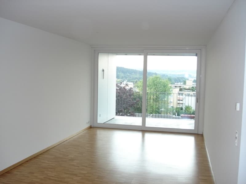 Grosszügige 2.5-Zimmer-Wohnung in Zürich-Seebach (3)