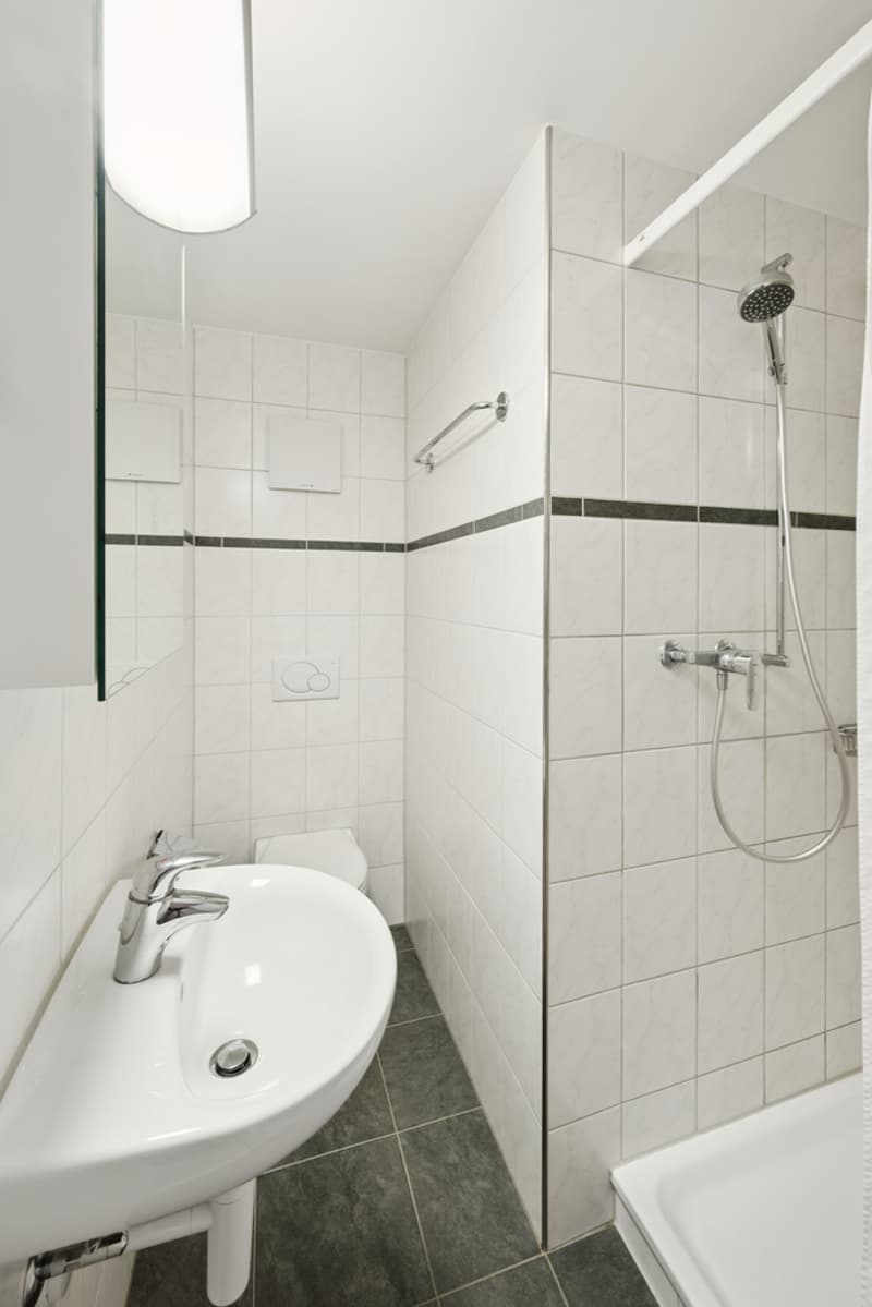 Wunderschöne 4.5-Zimmer-Dachwohnung - in der Nähe der ISB (4)