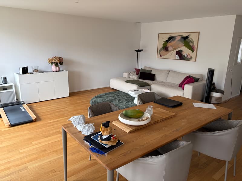 Lichtdurchflutete 4.5-Zimmerwohnung im Neubau (4)