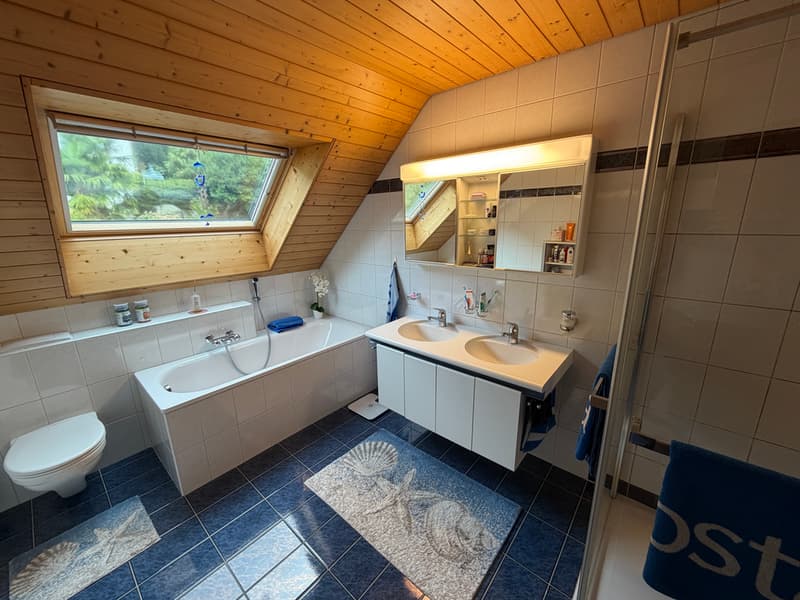 Tolle Aussicht - 5.5-Zimmer Doppel-Einfamilienhaus (10)