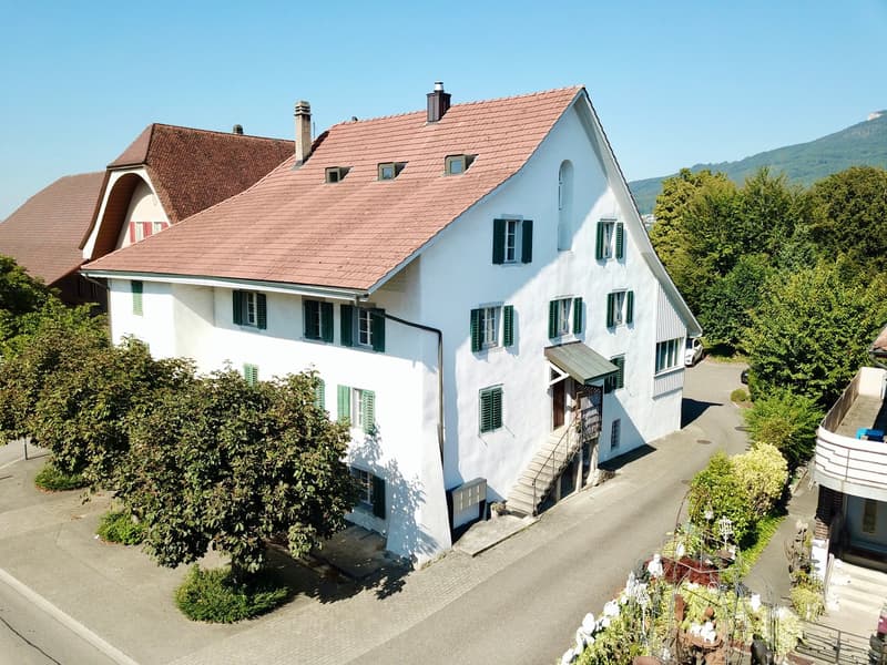 Historisches Mehrfamilienhaus mit 8 Wohnungen in Kestenholz (1)