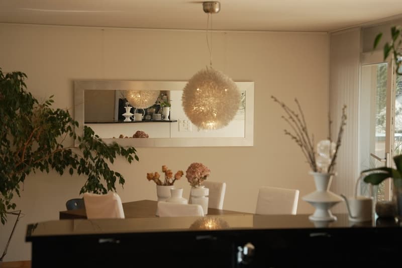 Dining table with white chairs, hanging light fixtures, shelves with decorative items, potted plants, and a large window providing natural light.