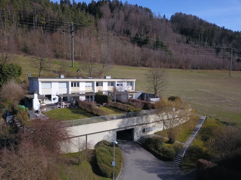 Large detached house, white walls, multiple windows, garage under cover, spacious garden, hills in the background