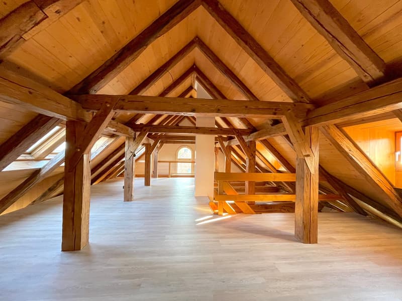 Your dream loft awaits you: A unique living experience on 140m². Perfect also as a commercial property (5)