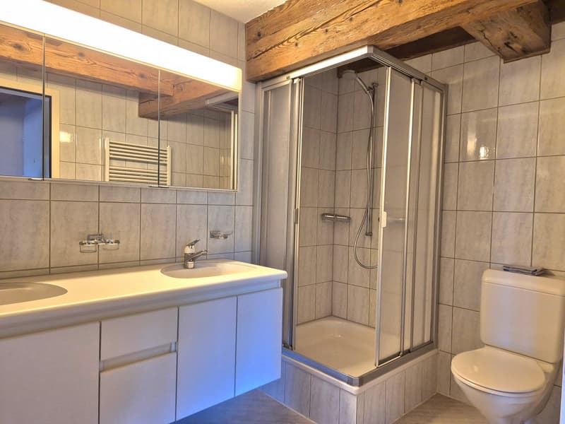 Your dream loft awaits you: A unique living experience on 140m². Perfect also as a commercial property (9)