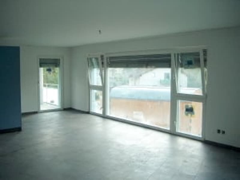 Appartement lumineux, entretenu de 5,5 pièces avec terrasse immense (4)