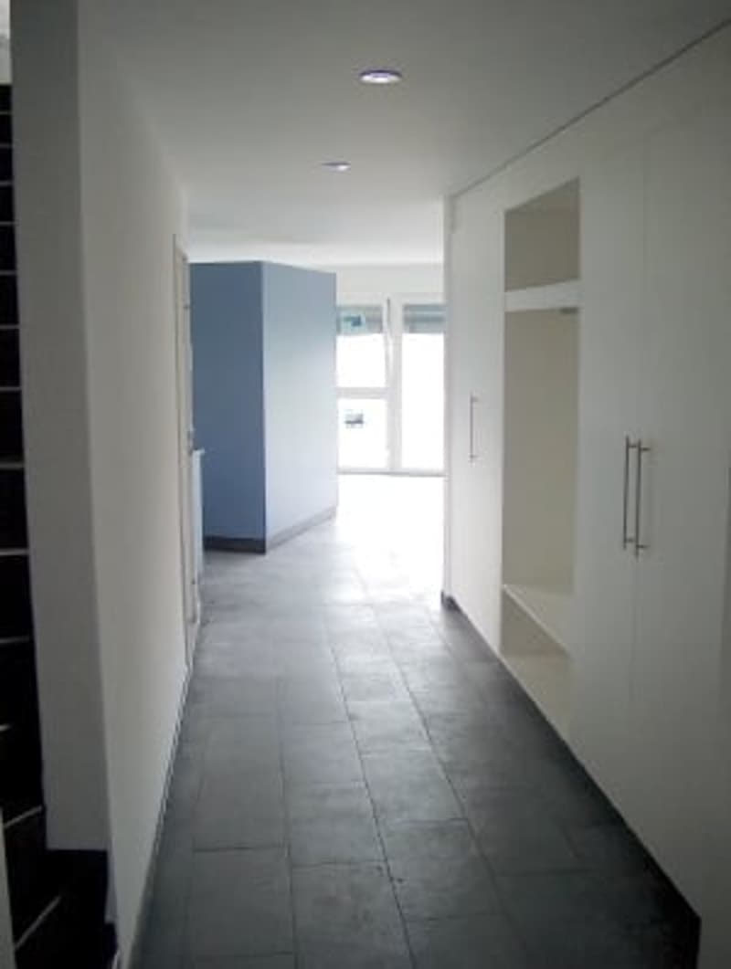 Appartement lumineux, entretenu de 5,5 pièces avec terrasse immense (3)
