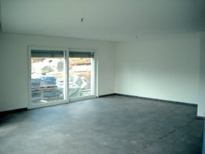 Appartement lumineux, entretenu de 5,5 pièces avec terrasse immense (5)