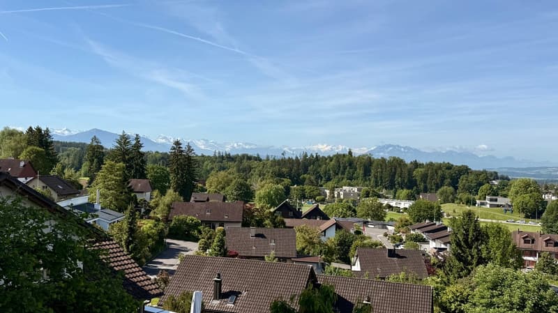 Appartement 4.5 pièces avec terrasse fantastique et vue panoramique (9)