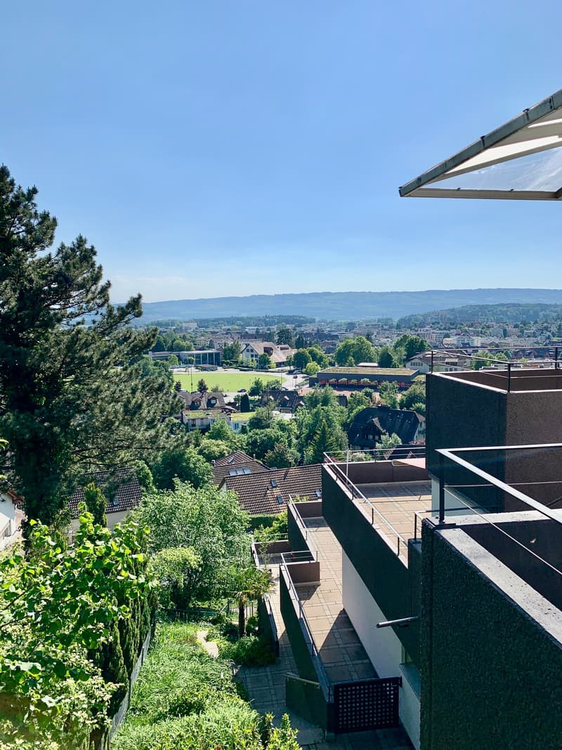 Appartement 4.5 pièces avec terrasse fantastique et vue panoramique (8)