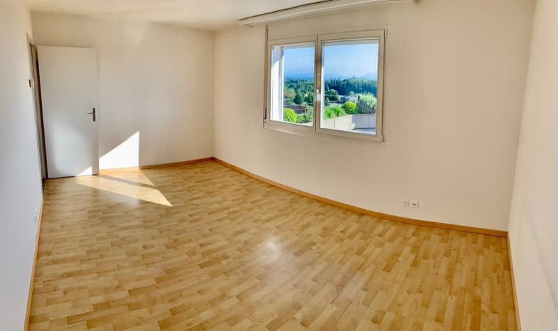 Appartement 4.5 pièces avec terrasse fantastique et vue panoramique (5)