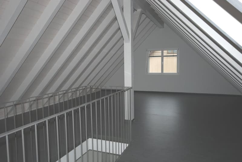 Charming 4.5-room maisonette apartment with balcony in Mettmenstetten (5)