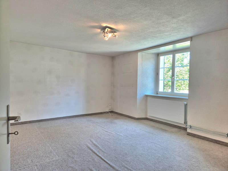 Appartamento di 3,5 locali con camino e terrazza a Kestenholz (10)
