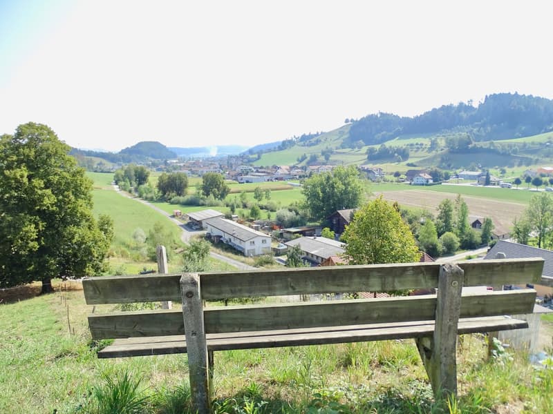 Umgebung
