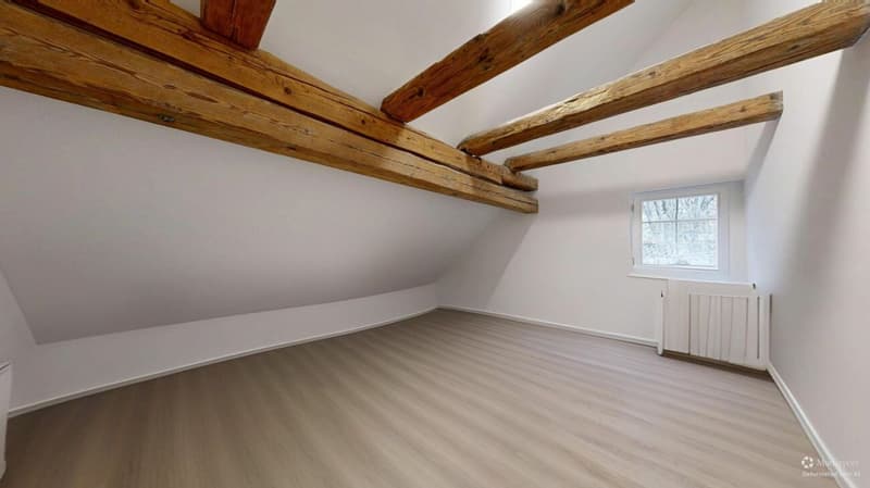 Maison de deux familles exclusive, complètement rénovée à Wila - Votre nouveau foyer ou objet de rendement lucratif (23)