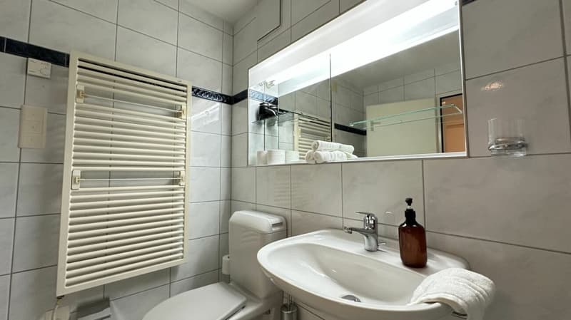 Pulp Fiction Suite - Stylish 1-bedroom apartment in Zurich (fully furnished) (7)