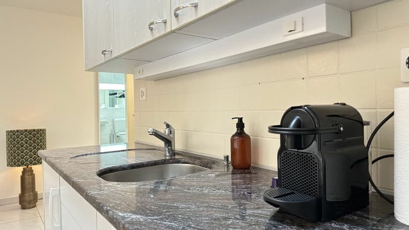 Pulp Fiction Suite - Stylish 1-bedroom apartment in Zurich (fully furnished) (8)