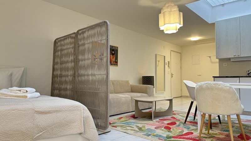 Pulp Fiction Suite - Stylish 1-bedroom apartment in Zurich (fully furnished) (4)