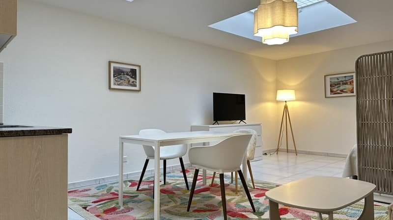 Pulp Fiction Suite - Stylish 1-bedroom apartment in Zurich (fully furnished) (2)