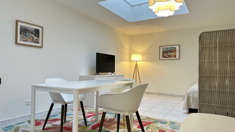 Pulp Fiction Suite - Stylish 1-bedroom apartment in Zurich (fully furnished) (5)