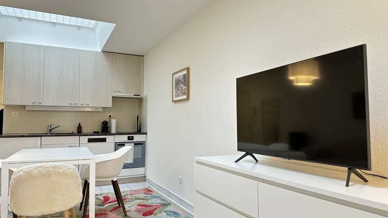 Pulp Fiction Suite - Stylish 1-bedroom apartment in Zurich (fully furnished) (6)
