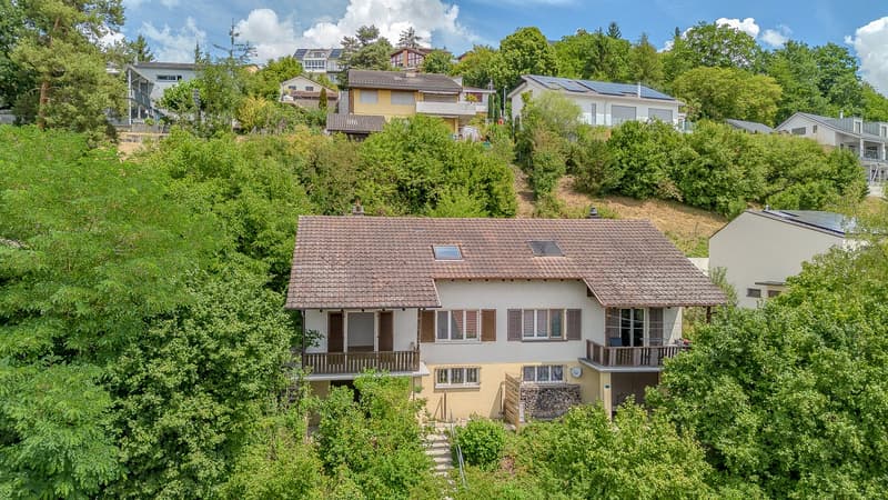 Charming 5-room single-family house in Egliswil – freshly renovated and available immediately (2)