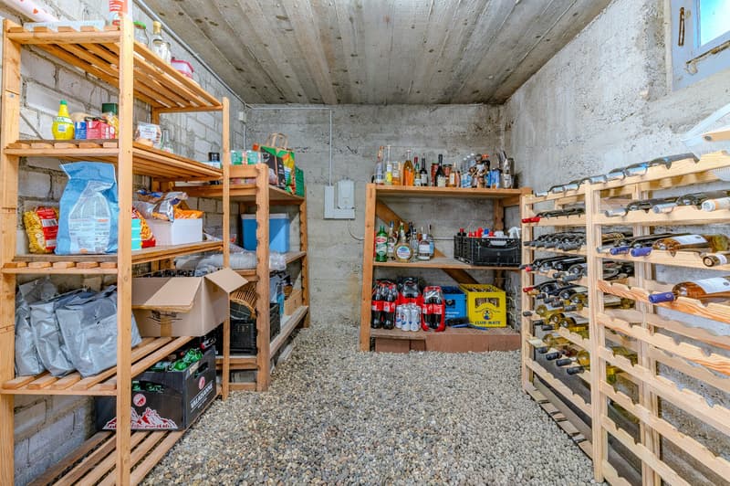 Charmantes Einfamilienhaus an ruhiger Lage in Rothrist (20)