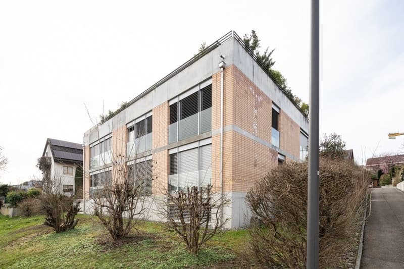 Modern building with brick and glass facade, multiple windows, flat roof with greenery, located on a sloped terrain