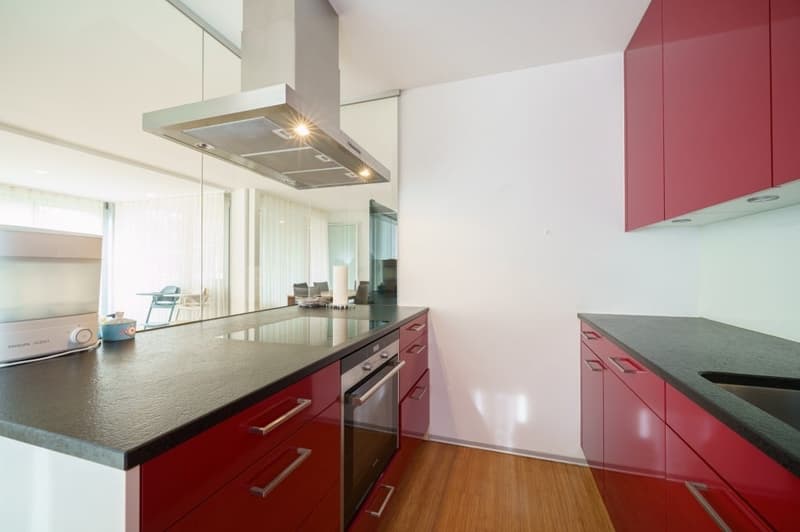 modern kitchen with red cabinets, black countertops, stainless steel appliances, glass backsplash, wooden floor