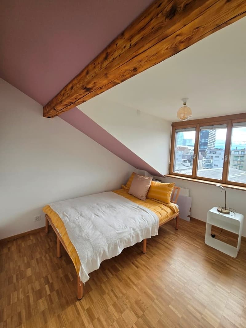 Charmante möblierte 2.5-Zimmer-Wohnung mit Stadtblick in Basel (15)