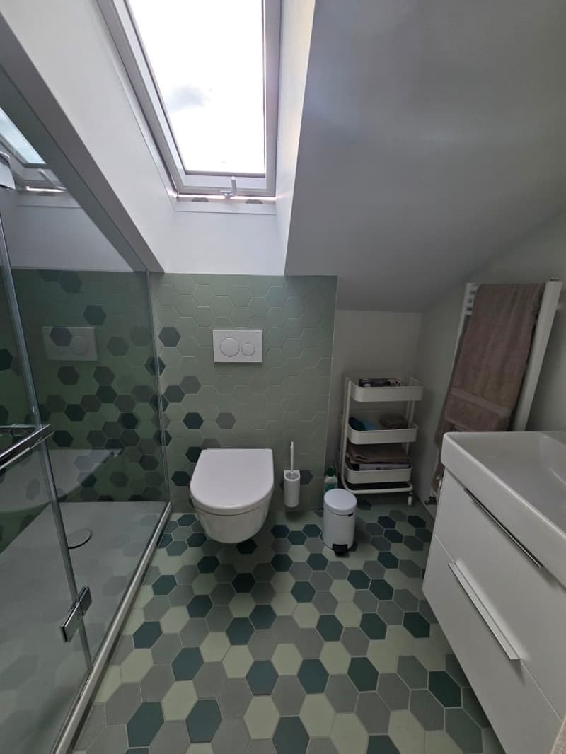 Charmante möblierte 2.5-Zimmer-Wohnung mit Stadtblick in Basel (5)