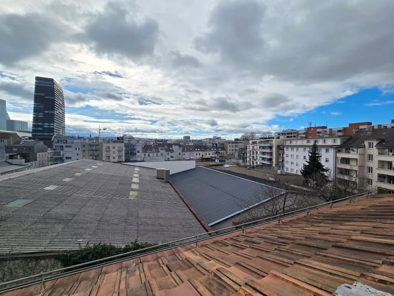 Charmante möblierte 2.5-Zimmer-Wohnung mit Stadtblick in Basel (14)