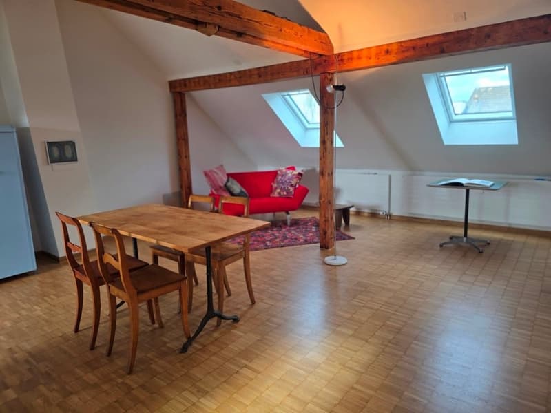 Charmante möblierte 2.5-Zimmer-Wohnung mit Stadtblick in Basel (10)
