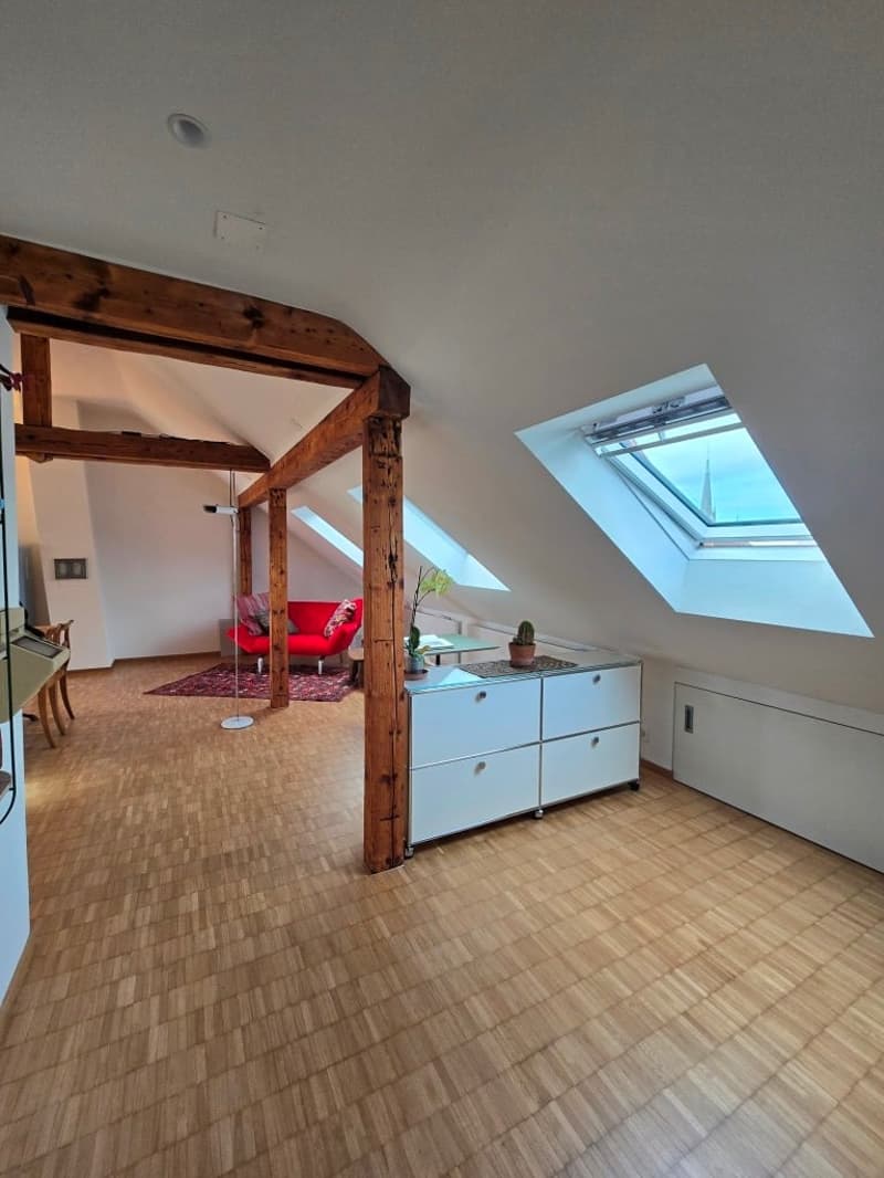 Charmante möblierte 2.5-Zimmer-Wohnung mit Stadtblick in Basel (7)