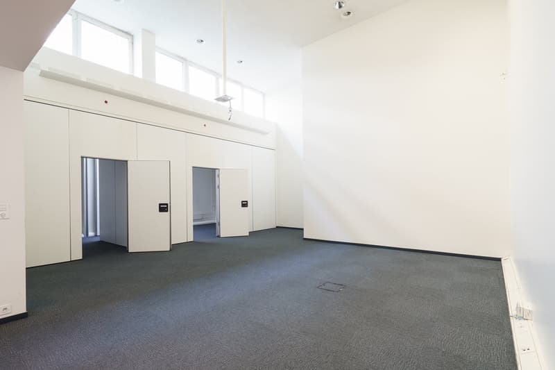 AESCHENPLATZ - POSIZIONE TOP A BASILEA: Uno spazio – infinite possibilità! (13)
