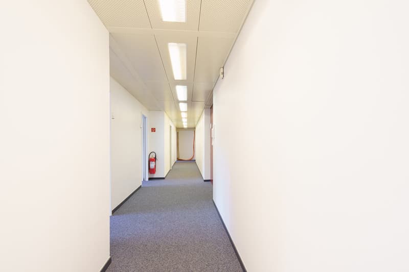 Il successo inizia con l'indirizzo giusto – 300 m² per la tua attività! (4)