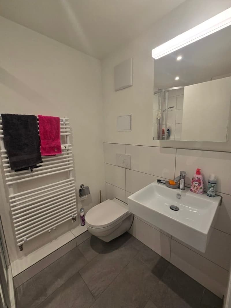 Appartement charmant 1 pièce à proximité de Kronenplatz à Binningen (5)