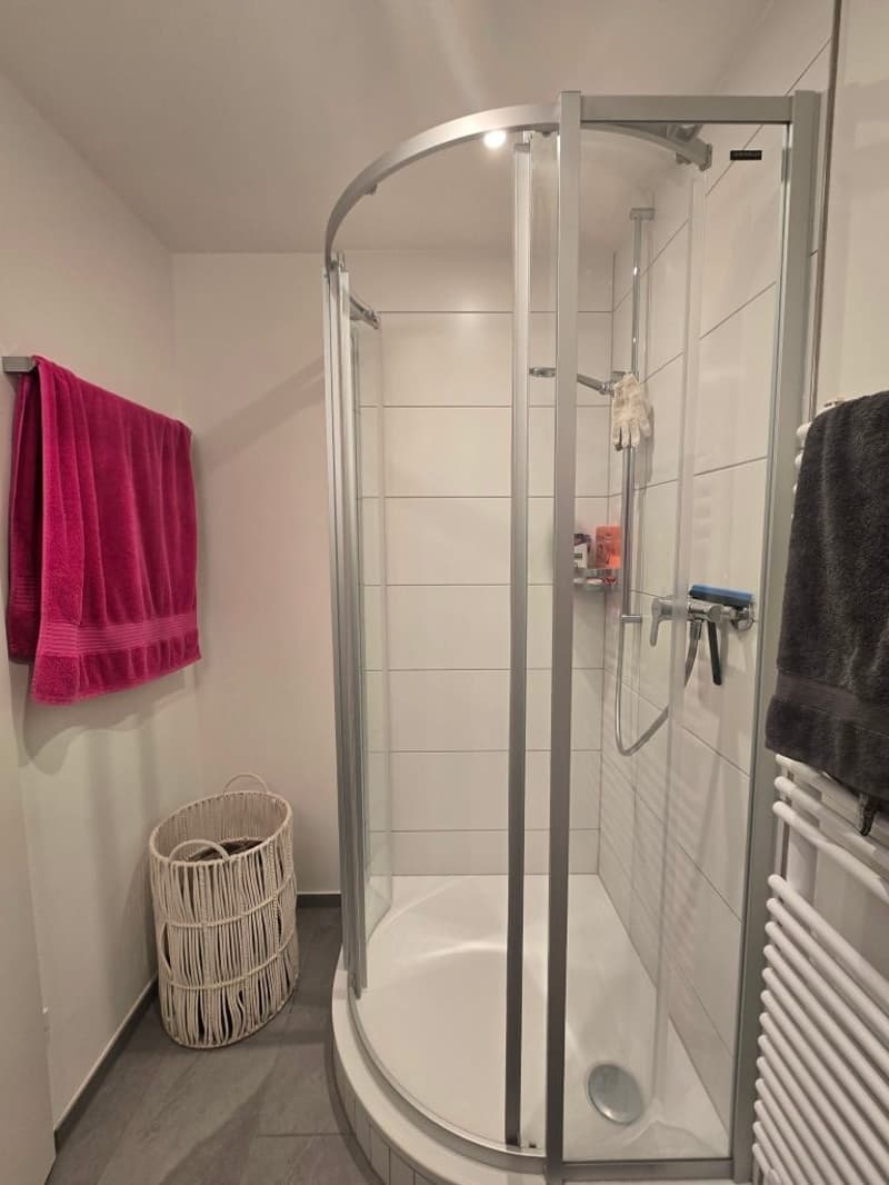 Appartement charmant 1 pièce à proximité de Kronenplatz à Binningen (4)