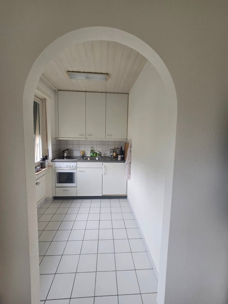 Appartement charmant 1 pièce à proximité de Kronenplatz à Binningen (2)