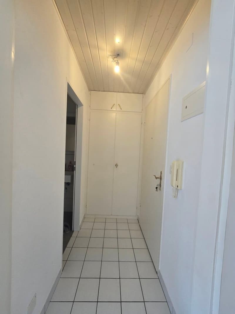 Appartement charmant 1 pièce à proximité de Kronenplatz à Binningen (3)