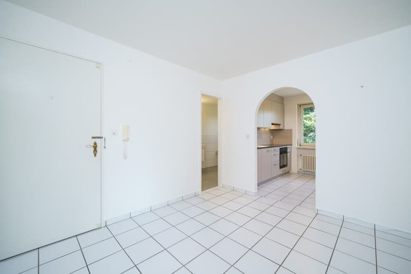 Affascinante appartamento di 4,5 locali con balcone a Binningen (7)