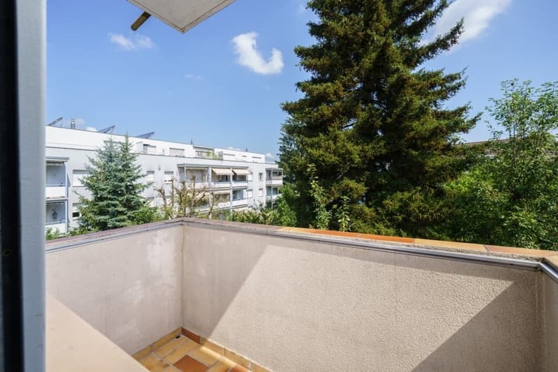 Affascinante appartamento di 4,5 locali con balcone a Binningen (9)