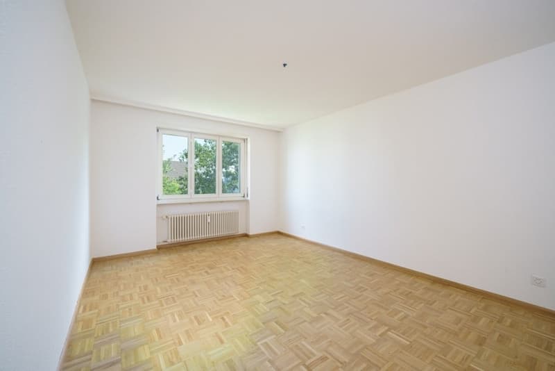 Affascinante appartamento di 4,5 locali con balcone a Binningen (4)
