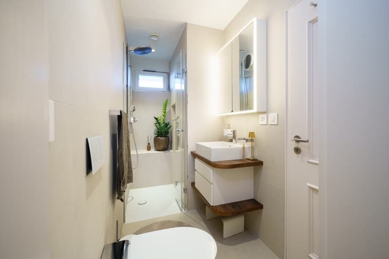 Où l'exclusivité rencontre la qualité de vie - Appartement attique unique et élégant de 5 pièces à Bâle (28)