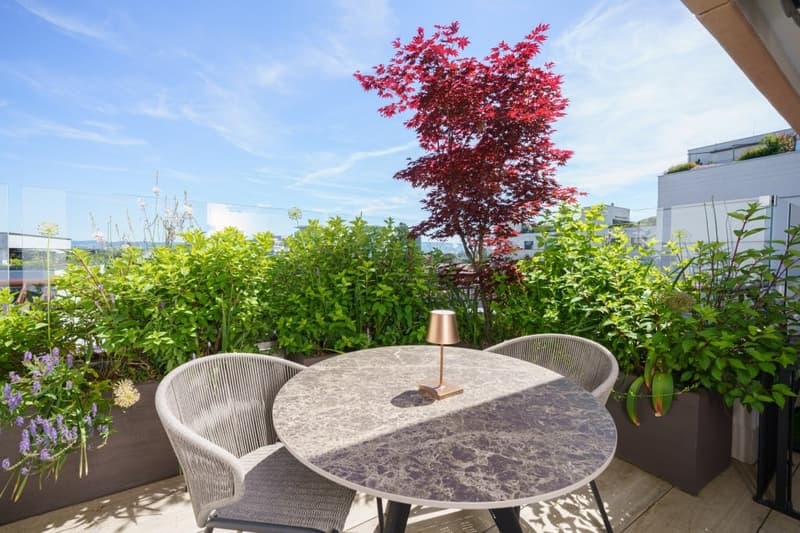 Où l'exclusivité rencontre la qualité de vie - Appartement attique unique et élégant de 5 pièces à Bâle (24)