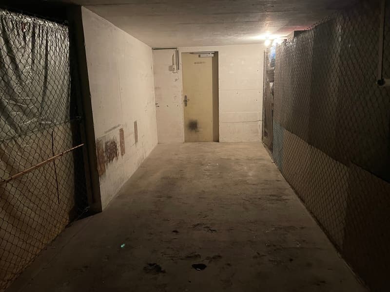 Garages individuelles près de Lindenplatz (4)