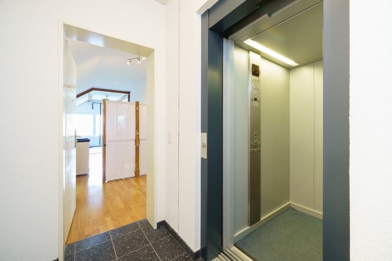 Spacious. Quiet. Close to nature. - 5.5-room maisonette apartment in Muttenz (18)