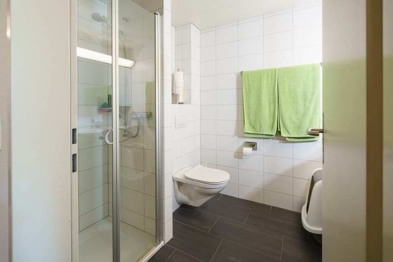 Spacious. Quiet. Close to nature. - 5.5-room maisonette apartment in Muttenz (7)